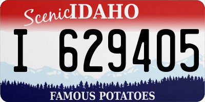 ID license plate I629405