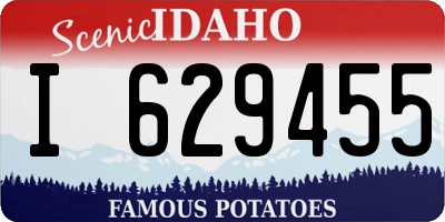 ID license plate I629455