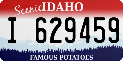 ID license plate I629459