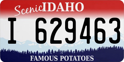 ID license plate I629463