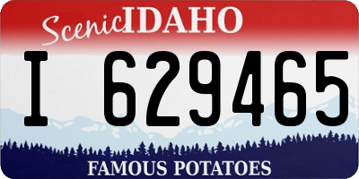 ID license plate I629465