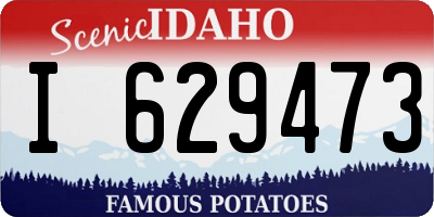 ID license plate I629473