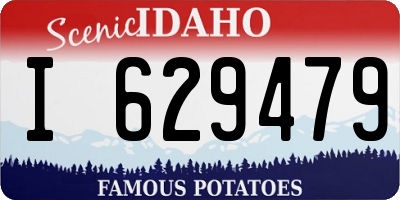 ID license plate I629479
