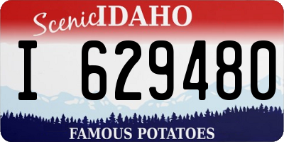 ID license plate I629480