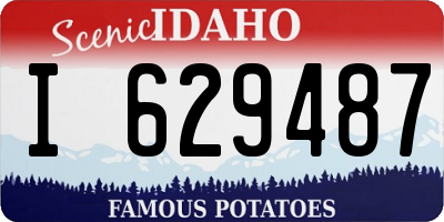 ID license plate I629487