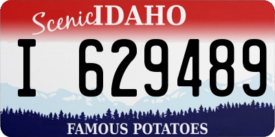 ID license plate I629489