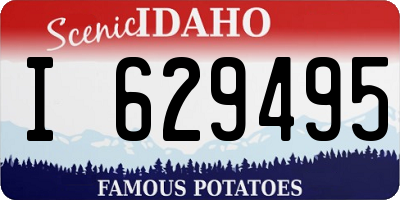 ID license plate I629495