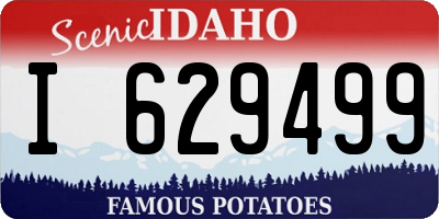 ID license plate I629499