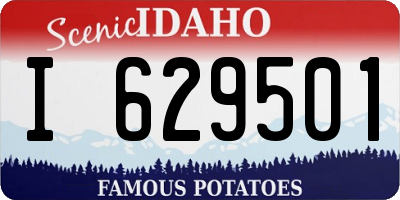 ID license plate I629501