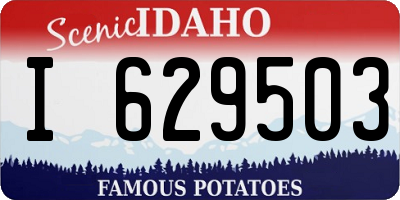 ID license plate I629503