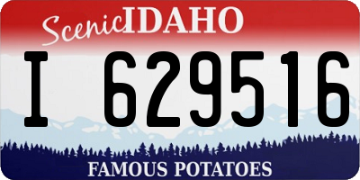 ID license plate I629516