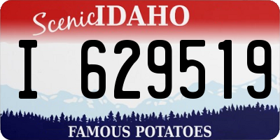 ID license plate I629519