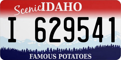 ID license plate I629541