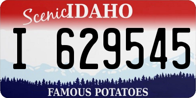 ID license plate I629545