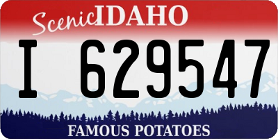ID license plate I629547