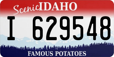 ID license plate I629548