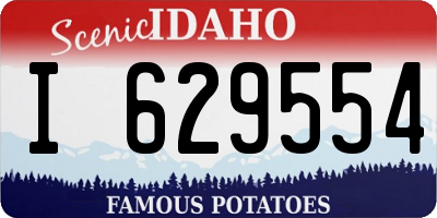 ID license plate I629554