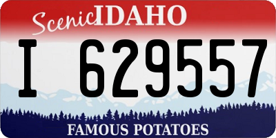 ID license plate I629557