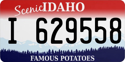 ID license plate I629558