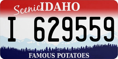 ID license plate I629559