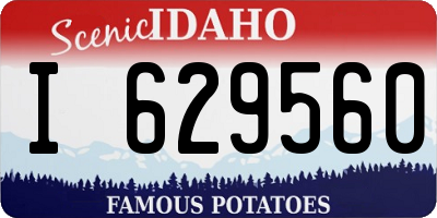 ID license plate I629560