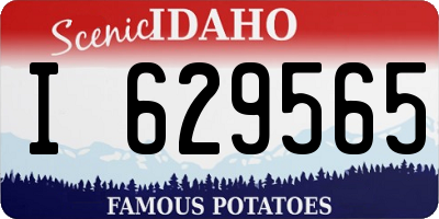 ID license plate I629565