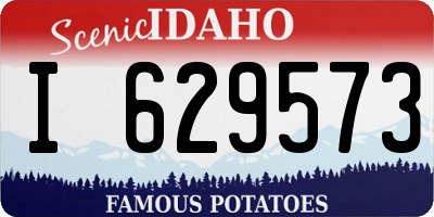 ID license plate I629573