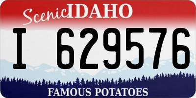 ID license plate I629576