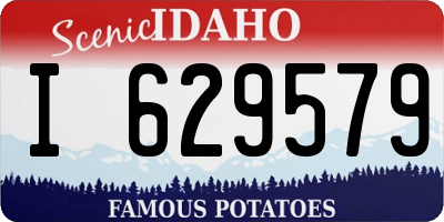 ID license plate I629579