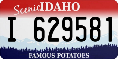 ID license plate I629581
