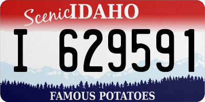 ID license plate I629591