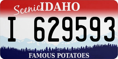 ID license plate I629593