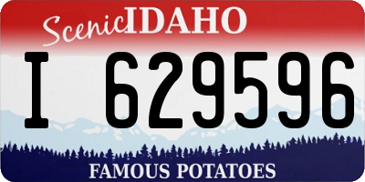 ID license plate I629596