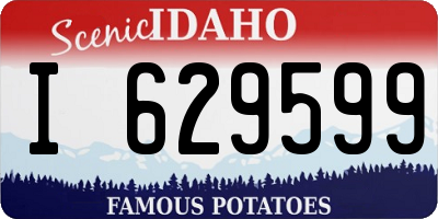 ID license plate I629599