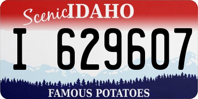 ID license plate I629607