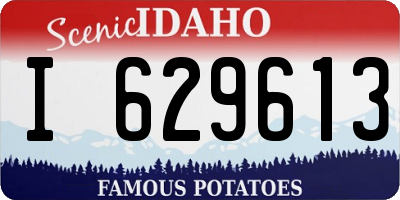 ID license plate I629613