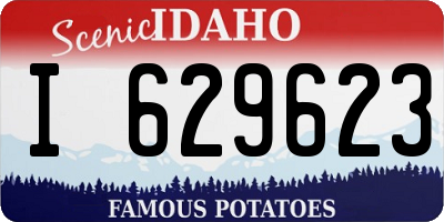 ID license plate I629623