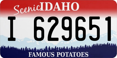 ID license plate I629651