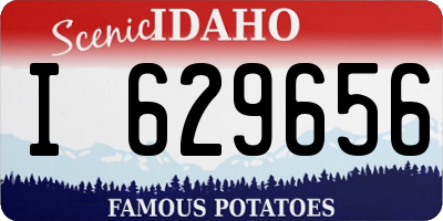 ID license plate I629656