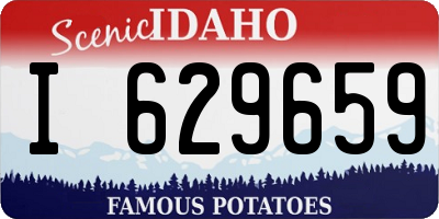 ID license plate I629659