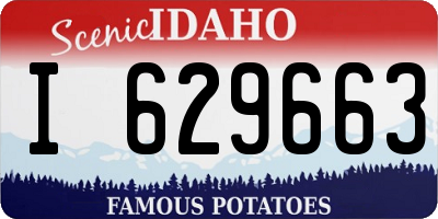 ID license plate I629663