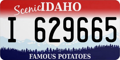 ID license plate I629665