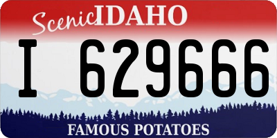 ID license plate I629666