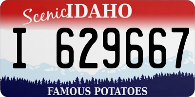 ID license plate I629667