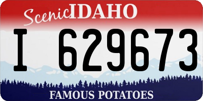 ID license plate I629673