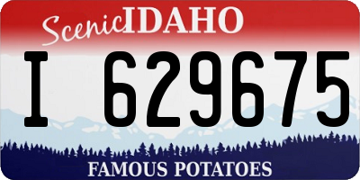 ID license plate I629675