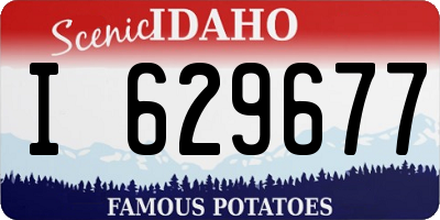 ID license plate I629677