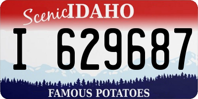 ID license plate I629687