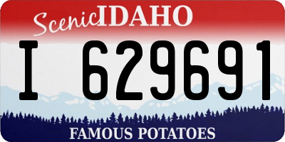 ID license plate I629691