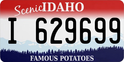 ID license plate I629699
